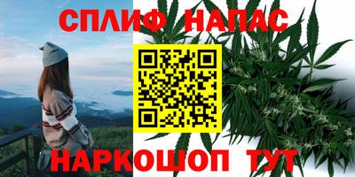 гидра Обнинск