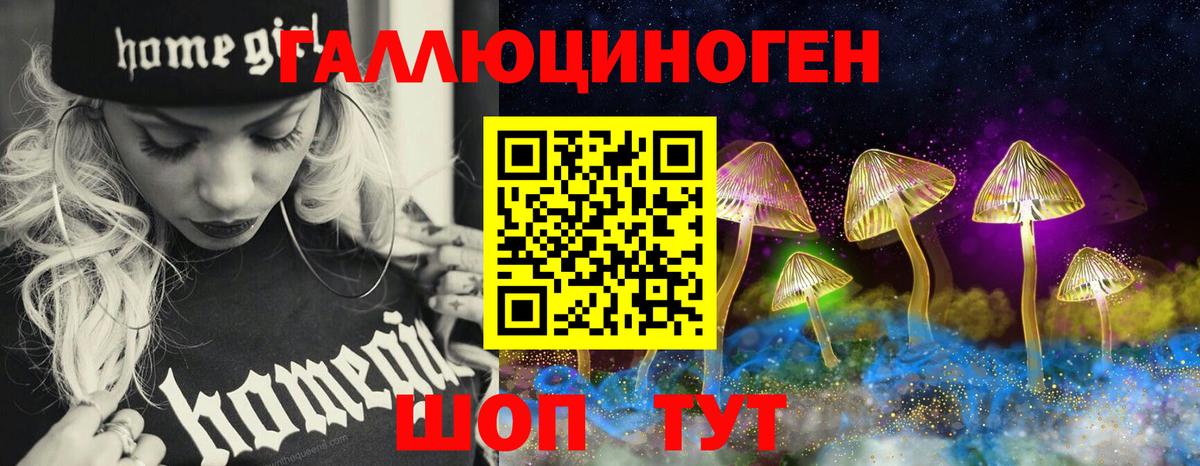 где продают наркотики  Псилоцибиновые грибы мухоморы  Вход с VPN  Унеча 